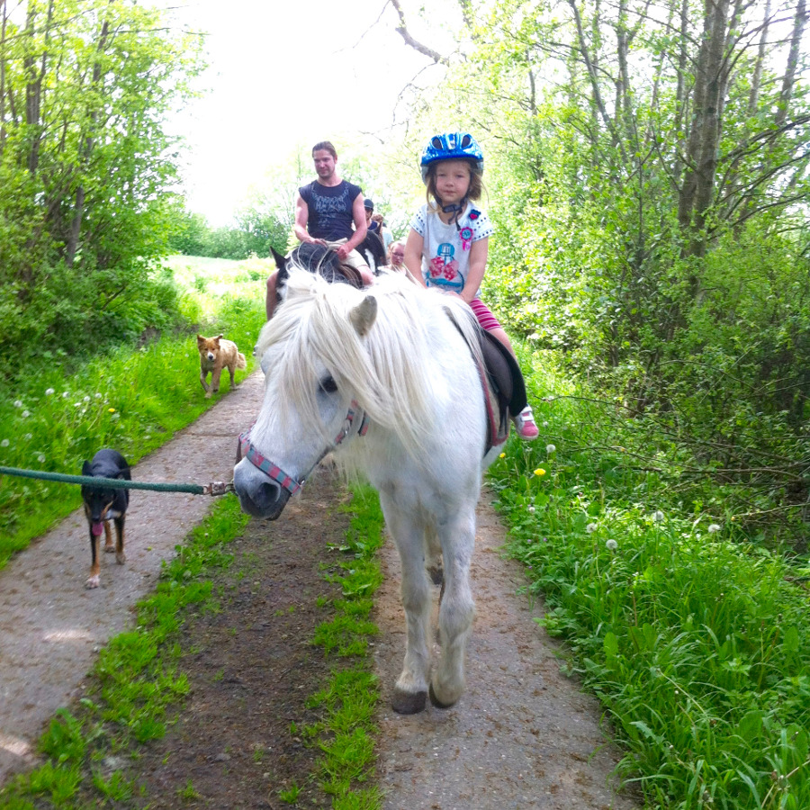 Ostsee Reiten Reiterferien Reiturlaub Im Wellnesshotel